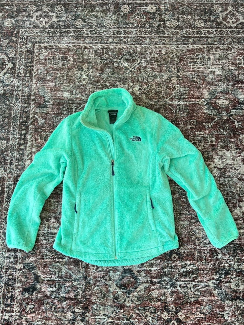 The North Face Aqua Plush Fleece Zip Up Jacket